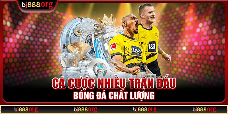Cá cược nhiều trận đấu bóng đá chất lượng